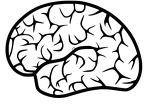 Brain 1