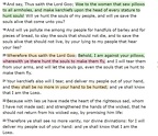 Ezekiel13 = Women hunting the souls of Men to make their Pillows FLY