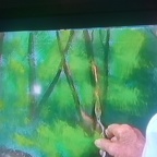 PBS CHANNEL TREE PAINTING