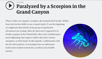 PARALYZED BY A SCORPION IN THE GRAND CANYON
