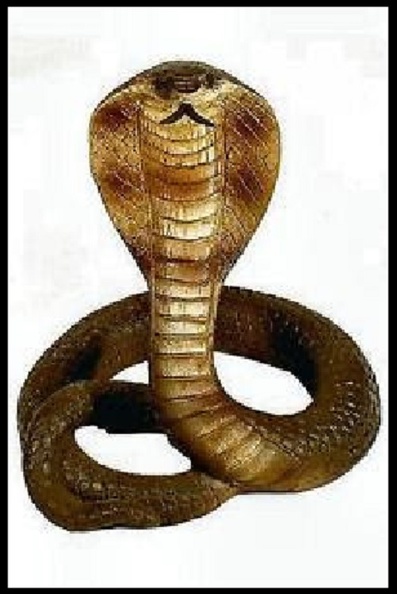 serpent-b4.jpg
