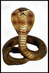 serpent-b4
