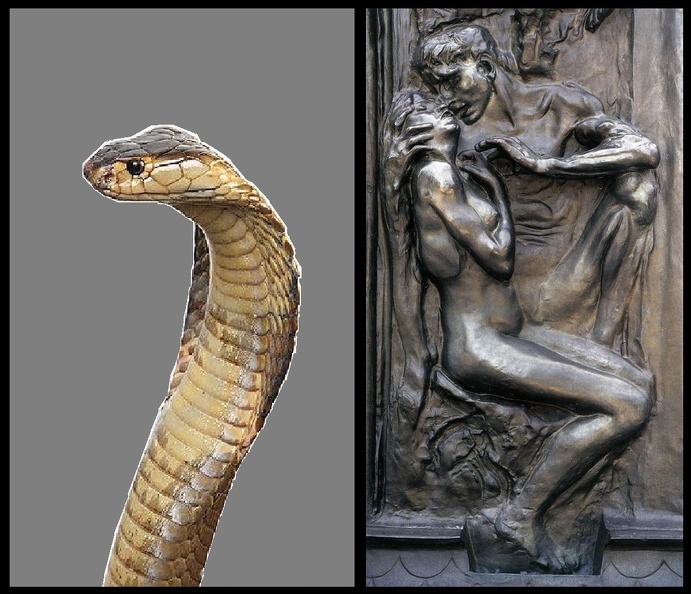 serpent-f3.jpg