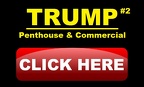 trump-2-penthouse-&-commercial