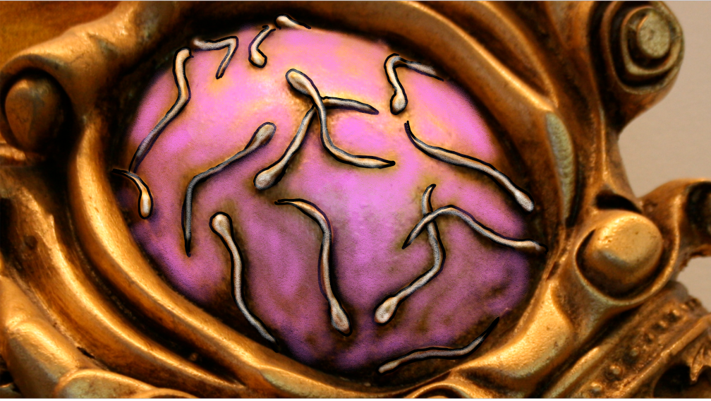 sperm-fertilizing-egg-on-insect-painting