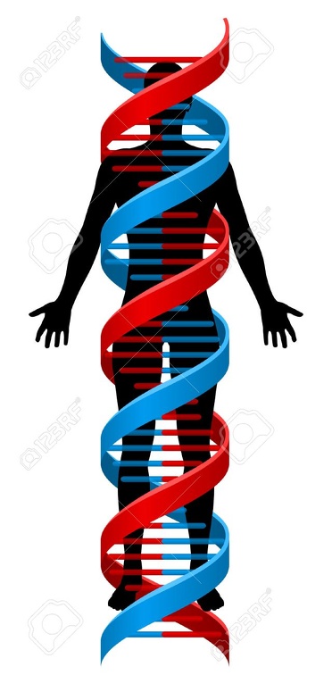 61733530-a-human-person-figure-in-silhouette-with-a-double-helix-dna-genetics-chromosome-strand-surrounding-i