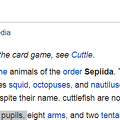 cuttlefish-pupils