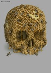 dan12-aaahoneycomb-skull