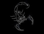 album-4-scorpion-out-line