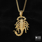 Drake scorpion cover