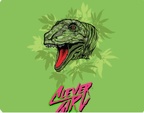Clever GIRL CR connected
