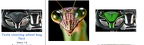GadFly Preying Mantis