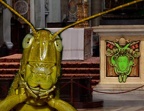 Locust on corner of Alter