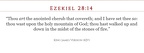 EZEKIEL 28 - Annointed Cherub that ENTWINES