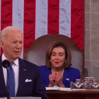 Pelosi gif