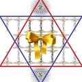 RD BLUE STAR OF DAVID with ribbon 1