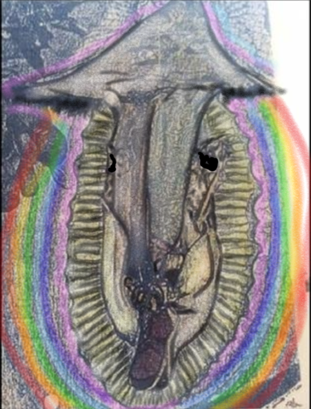 16165_vatican-virgin-is-really-a-dead-sheep1-1-1_486x640.png