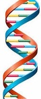 helix