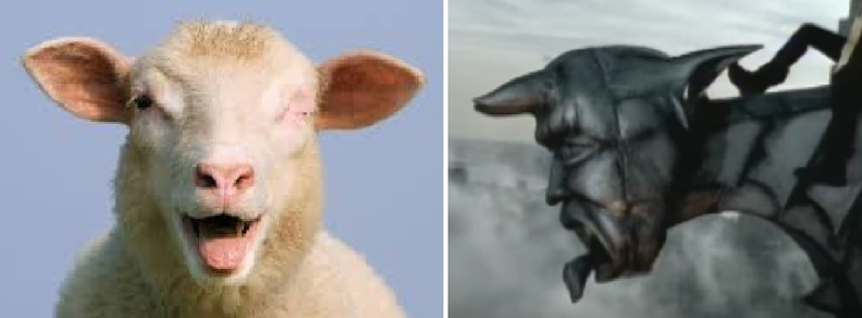 sheep-o6.jpg