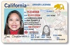 CALIFORNIA STATE DRIVER'S LICENSE - GENDER X