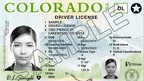 COLORADO STATE DRIVER'S LICENSE - GENDER X