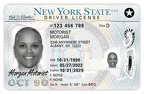 NEW YORK STATE DRIVER'S LICENSE - GENDER X