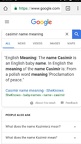 26019 Casimir meaning 540x960
