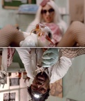 LADY GAGA LOCUST - right side up &amp; upside down blend 1