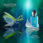 33512 Bug Romance 225x225