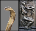 serpent-f3 - Rodin