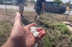CORY holding White Stones