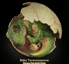 Baby T-rex