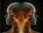Qlipoth=SHELL For Insect Essence attatched to Angel