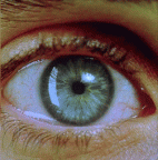 gif - Eye retina expand &amp; contract 1