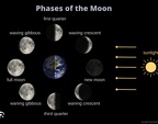 MOON 8 Phases = Travis Park