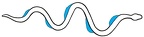 serpent movement =sinewave moving through time