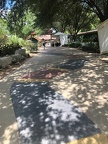 IMG 2010