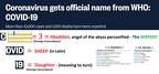 45528 CORONAVIRUS GETS OFFICIAL NAME FROM WHO - COVID 19 b 3312x1552