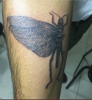 61453 Locust 1 - tattoo 814x883