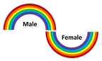 MALE &amp; FEMALE RAINBOW (2)