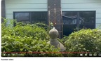 ARCH GOING FROM FOUNTAIN-Ayin-EYE RESTORED with PASSION FLOWERS -To CENTER Chet =Christ