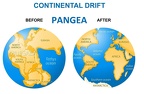 PANGEA before and after