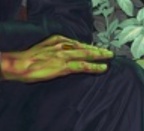 Obama Hand is Definitely a reptile head Same as REBIBBIA