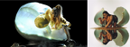 GAGA and Megan egg birth