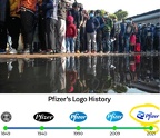 40922 6-9 PFIZER LOGO - PEOPLE IN INE blend 1 1280x1108